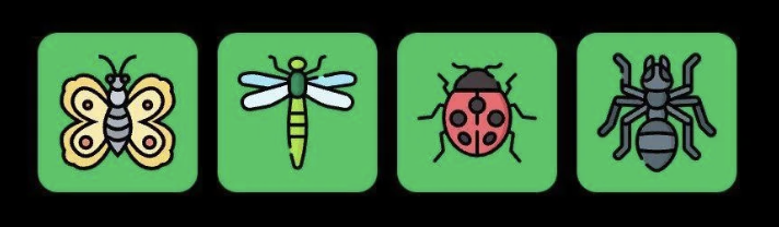 FLIES Daily Combo 5 May 2025